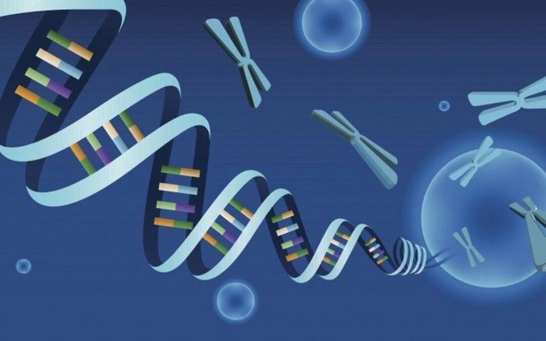 Bilan génétique : les avancées technologiques et leurs avantages