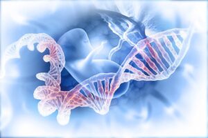 Molécule d’ADN : génétique et analyse de paternité