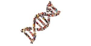biodiversite-genetique