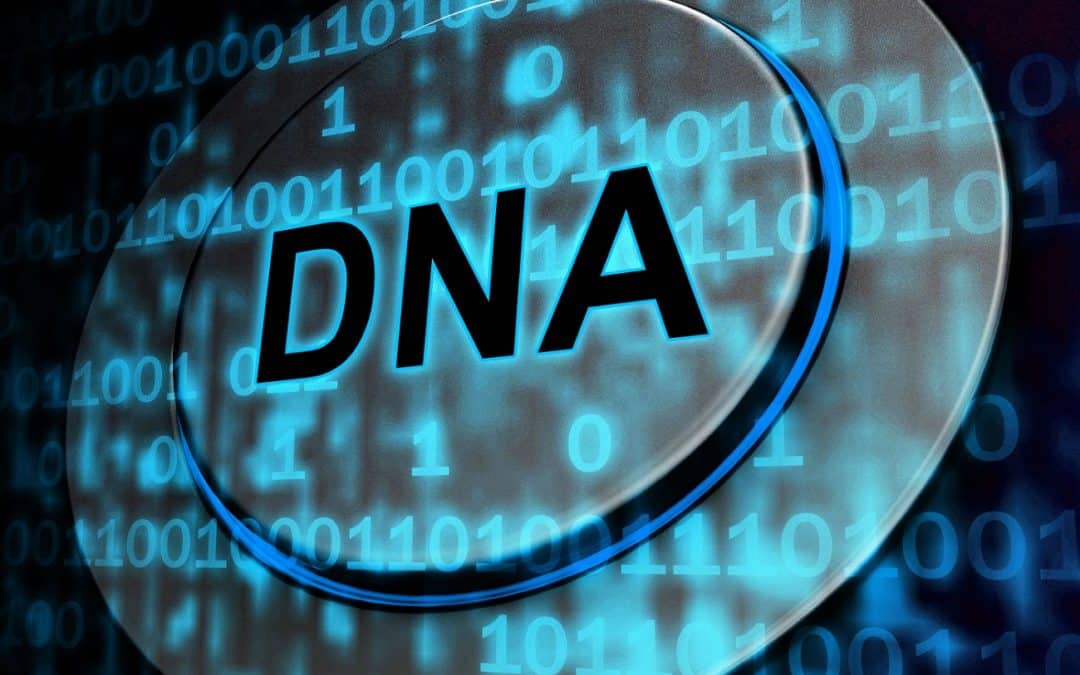 Quelles sont les différentes techniques d’analyse génétique ?