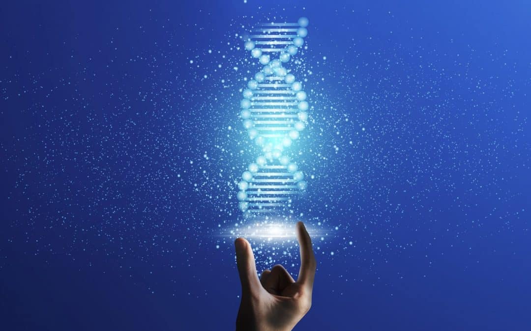 ADN masculin et féminin : ce qui nous différencie