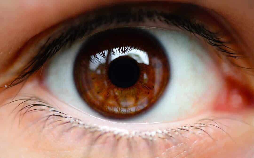 La couleur des yeux et la génétique vont de pair