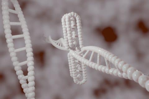 Révolutionner le stockage de données avec l’ADN data