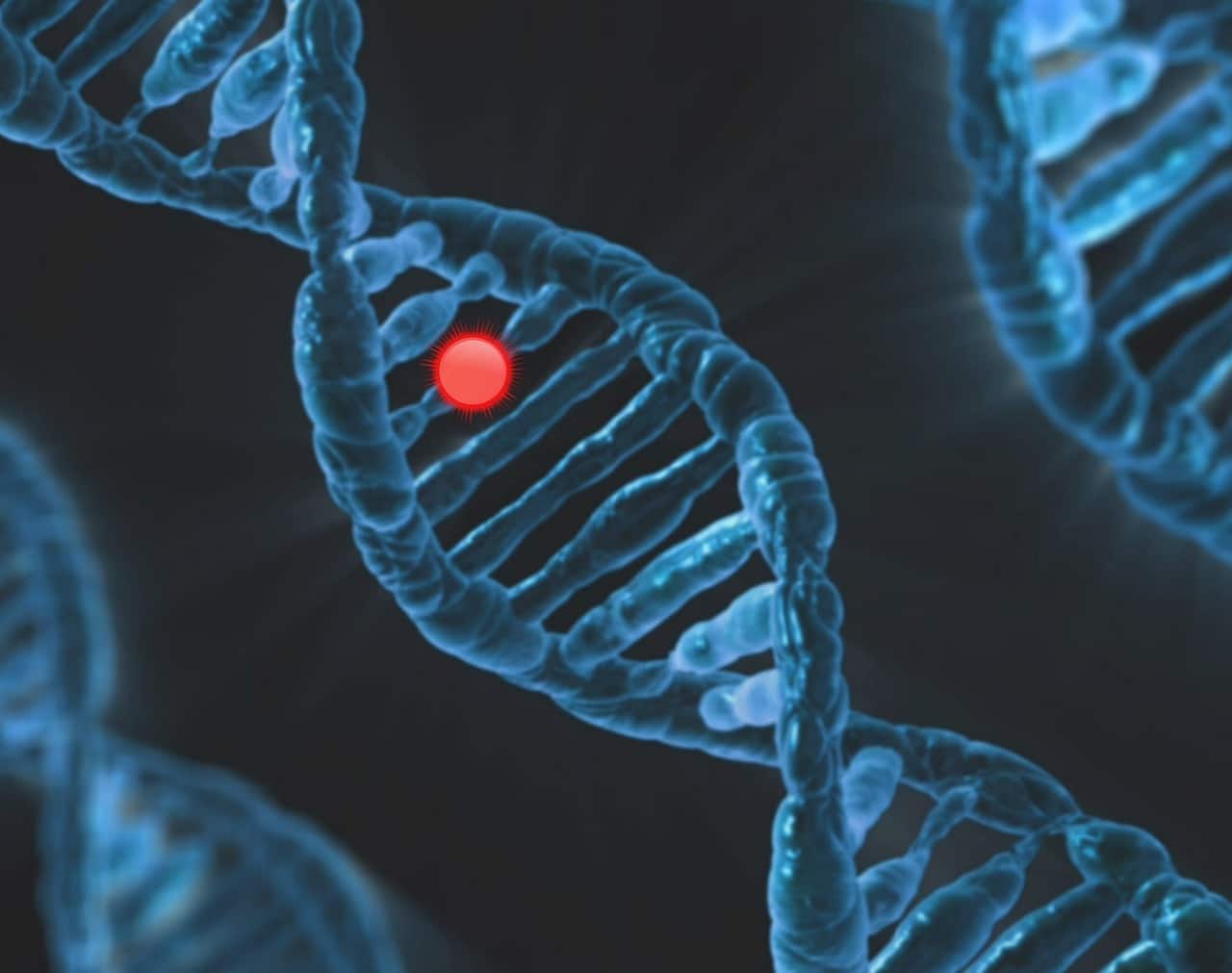 Gène chromosome
